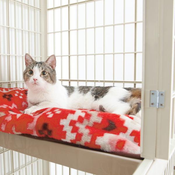 プラケージ 高い所にベッドが置ける！／ベッドも置ける広い棚板。寒い季節にはふかふかマットやもぐりベッドを置けば温かなスペースに。※リニューアル前の色です。