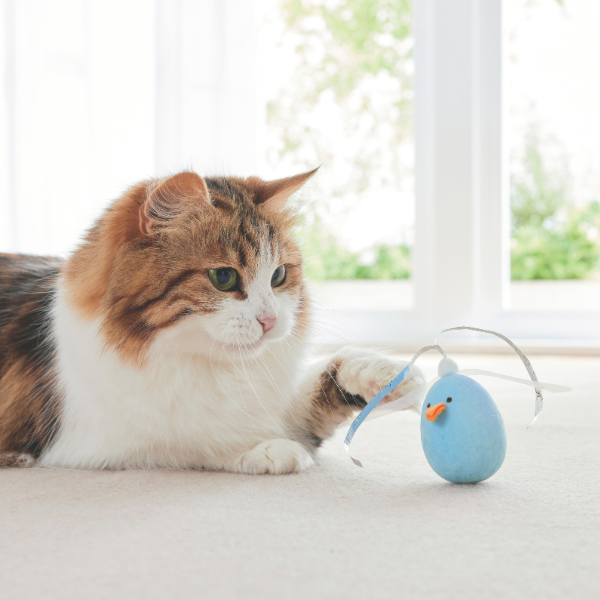 カシャカシャコロコロたまご 