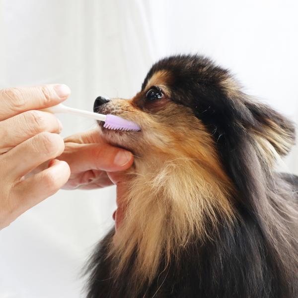 奥まで届くやさしいラバーブラシ 