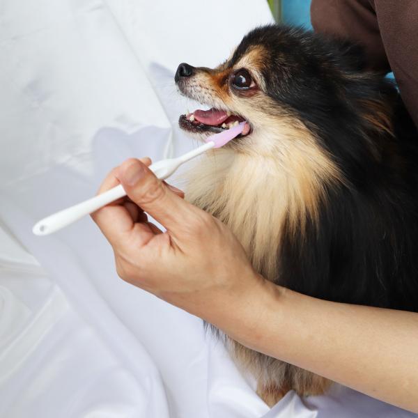 奥まで届くやさしいラバーブラシ 