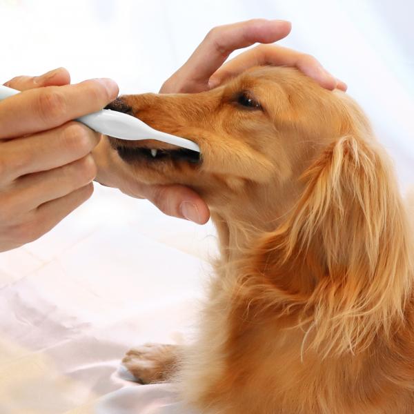 奥まで届くやさしいラバーブラシ 