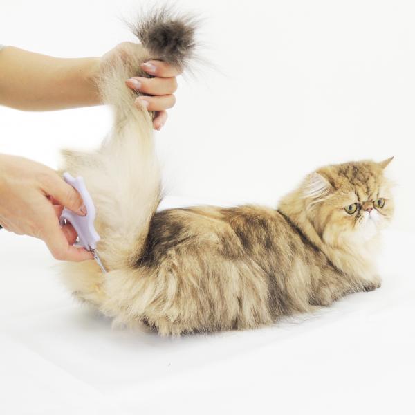 デリケート整毛バサミ 長毛猫のお尻周りのカットにも最適。