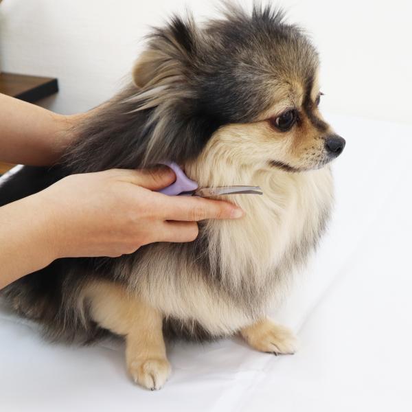 デリケート整毛バサミ 