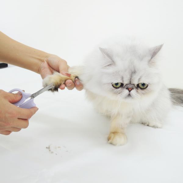 デリケート整毛バサミ コンパクトなサイズで取り回ししやすい。