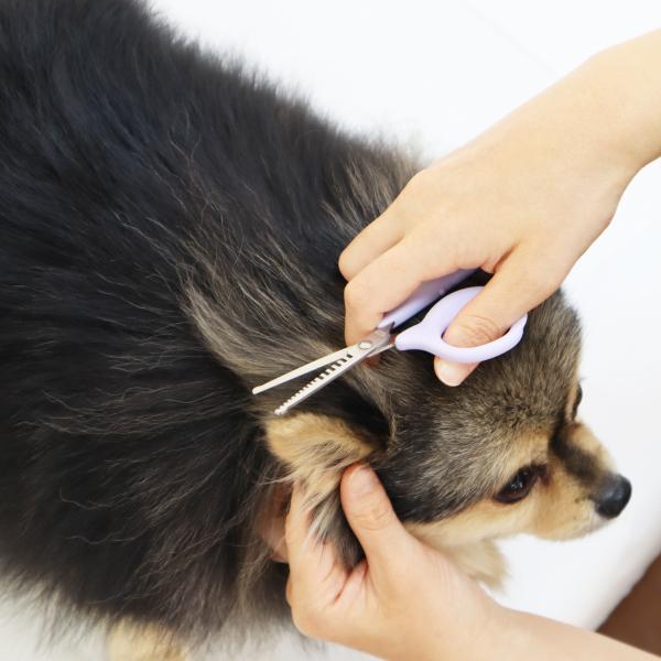 デリケート整毛バサミ ちょっと調整したいときにピッタリな便利アイテムです。