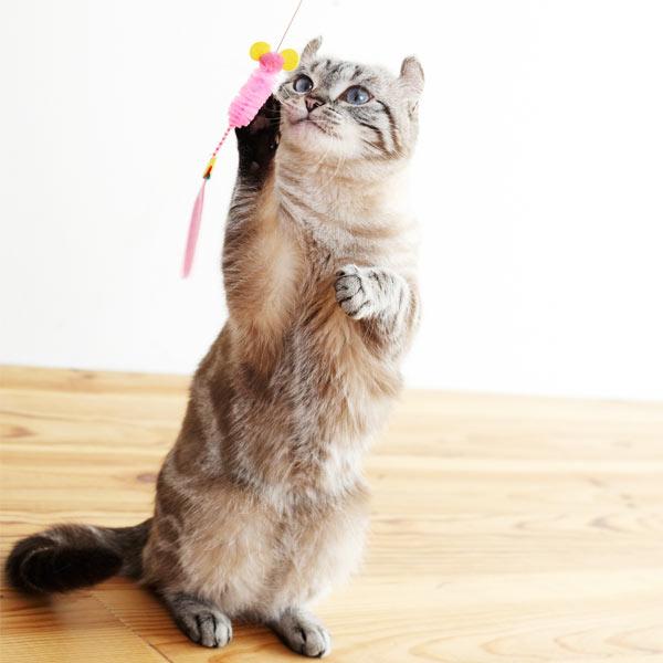【募金付き】カシャカシャぶんぶん ネズミ ※リニューアル前