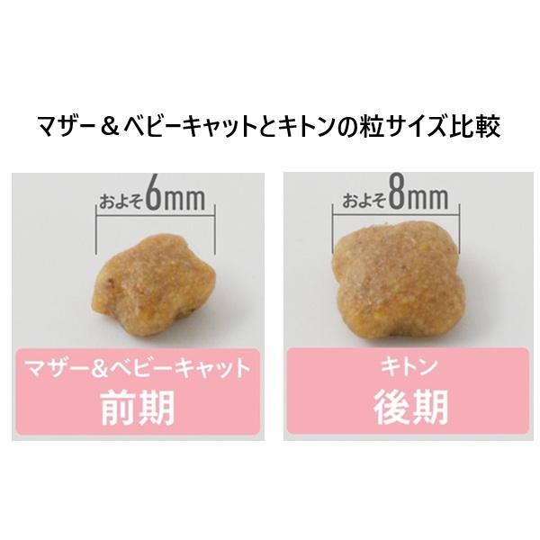 【成長後期の子猫用】 ロイヤルカナン キトン 