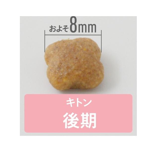 【成長後期の子猫用】 ロイヤルカナン キトン 
