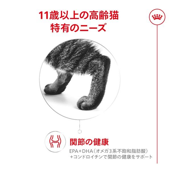 ロイヤルカナン　エイジング１１歳以上 