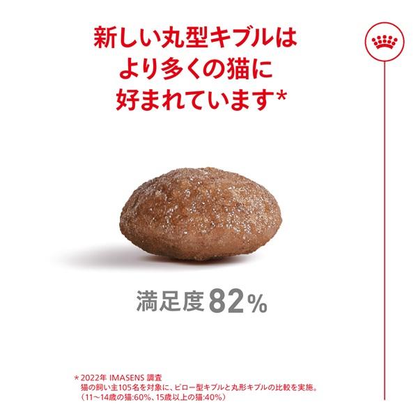 ロイヤルカナン　エイジング１１歳以上 