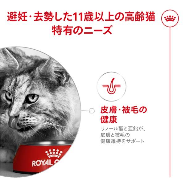 ロイヤルカナン　エイジングステアライズド１１歳以上 