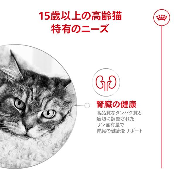 ロイヤルカナン　エイジング１５歳以上 