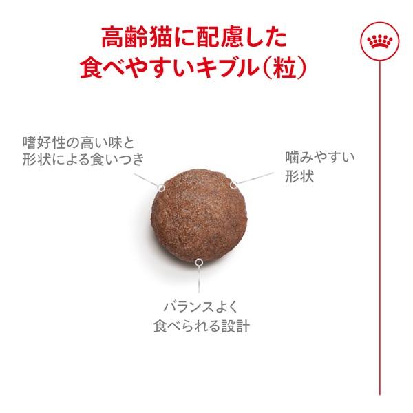 ロイヤルカナン　エイジング１５歳以上 