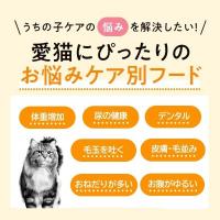 ロイヤルカナン　成猫用　ケアフード