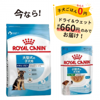 【大型犬の子犬用】ロイヤルカナン　マキシ　パピー　ドライ＆ウェット