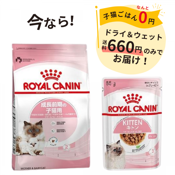 【成長前期の子猫用】ロイヤルカナンマザー＆ベビーキャットドライ＆ウェット 
