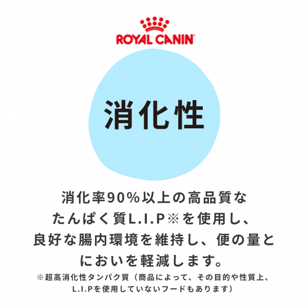 【成長後期の子猫用】ロイヤルカナン　キトン　ドライ＆ウェット 