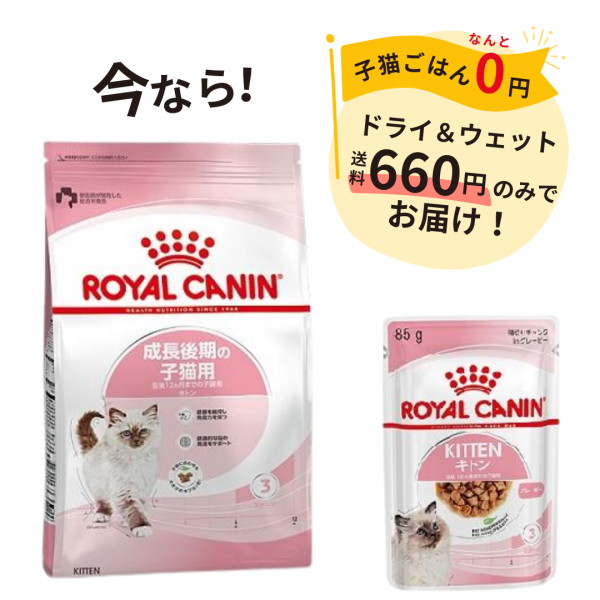 【成長後期の子猫用】ロイヤルカナン　キトン　ドライ＆ウェット 