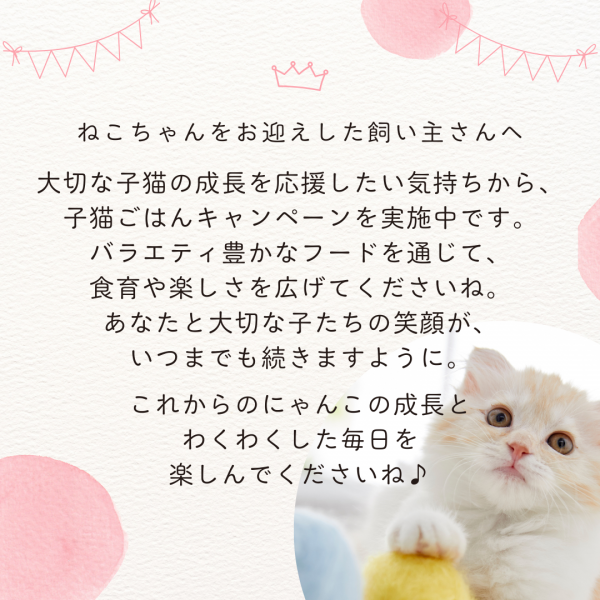 【成長後期の子猫用】ロイヤルカナン　キトン　ドライ＆ウェット 