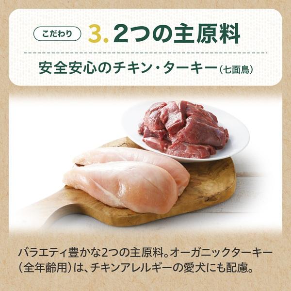 オーガニックキッチン ソルビダ グレインフリー 室内飼育子犬用チキン 