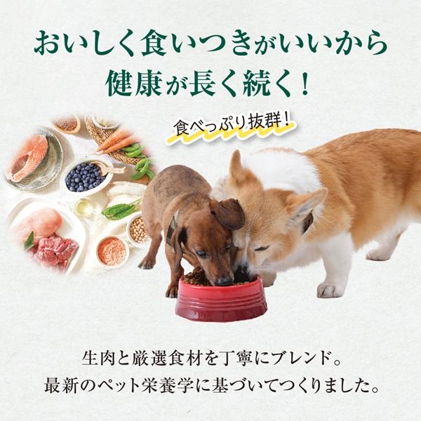 オーガニックキッチン ソルビダ グレインフリー 室内飼育子犬用チキン 