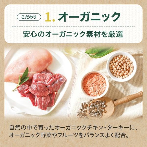 ソルビダ グレインフリー 室内飼育成犬用チキン 