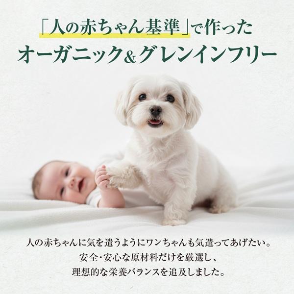 ソルビダ グレインフリー 室内飼育 体重管理用 チキン 