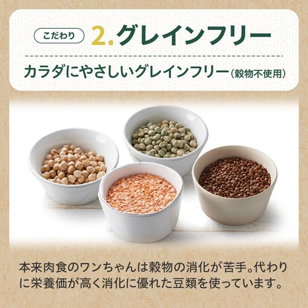 ソルビダ グレインフリー 室内飼育７歳以上用 チキン 