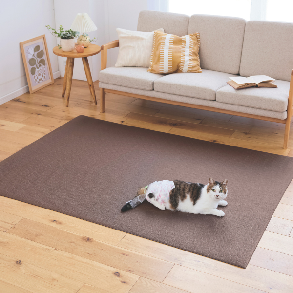マルチマット ムニュ (衝撃吸収マット) ブラウン・122×180cm