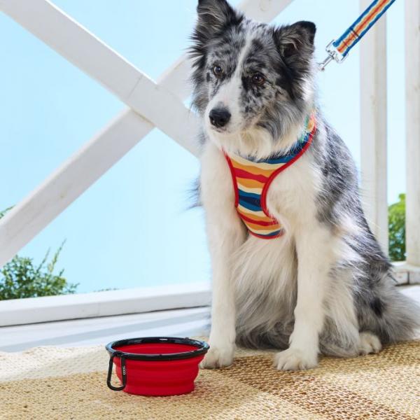 ＤＯＯＧ（ドゥーグ）　ハンディウォーターボウル レッド・Lサイズ ※ハーネス・リードは別売りです。