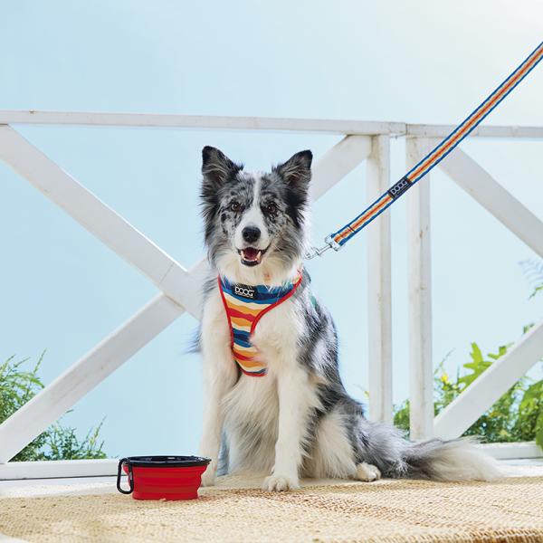 ＤＯＯＧ（ドゥーグ）　ネオフレックス　クリップイットリード スカウト ※リードは別売りです。