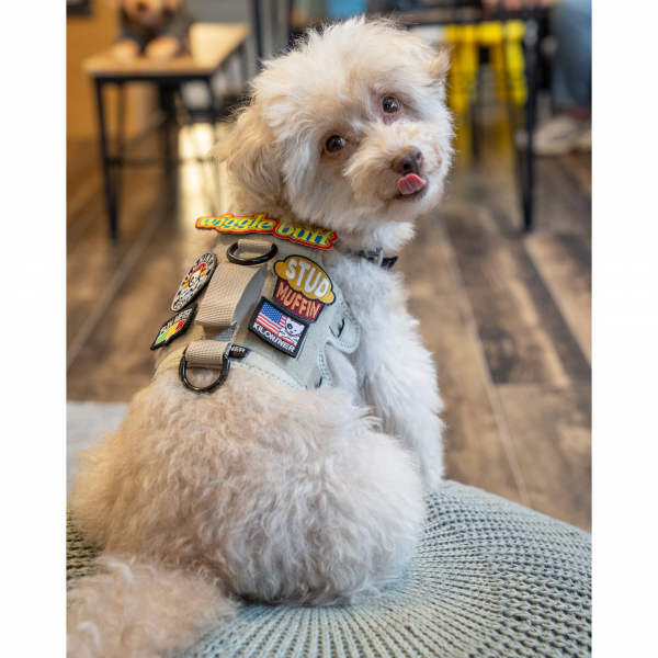 ＫＩＬＯＮＩＮＥＲ（キロナイナー）マリブラインＭ３Ｂハーネス サンドコヨーテ（ワッペンは別売）