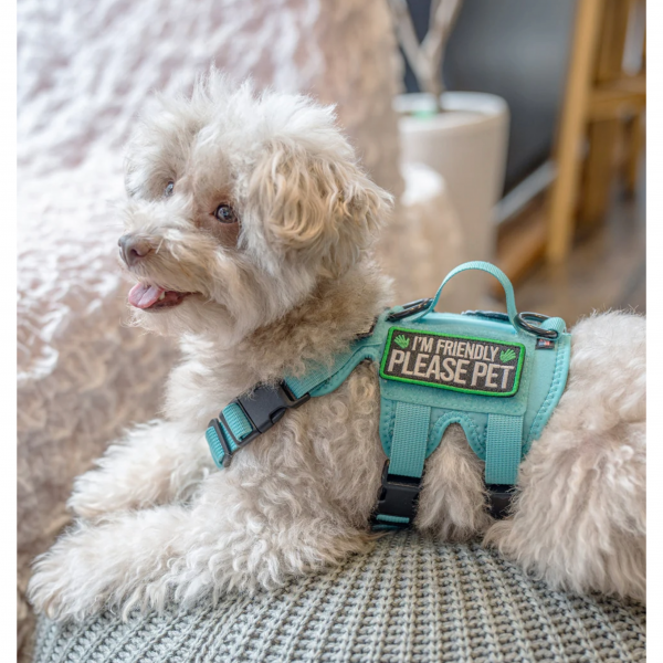 ＫＩＬＯＮＩＮＥＲ（キロナイナー）マリブラインＭ３Ｂハーネス ピーコックブルー（ワッペンは別売）