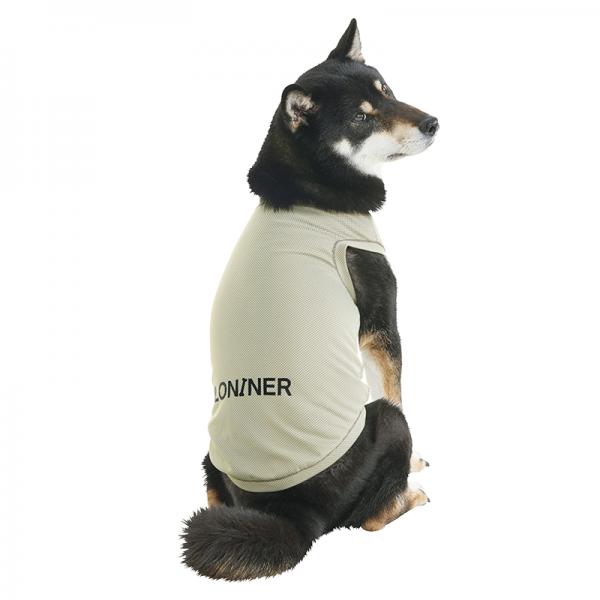 ＫＩＬＯＮＩＮＥＲ（キロナイナー）アクティブクーリングＴシャツ XLサイズを着用/モデルサイズ：バスト60㎝