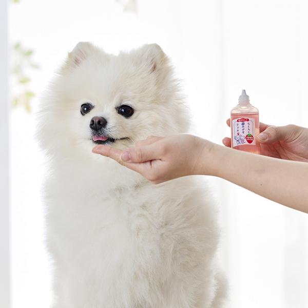 らくらく歯みがきジェル 口内環境を整える3つの成分を配合。