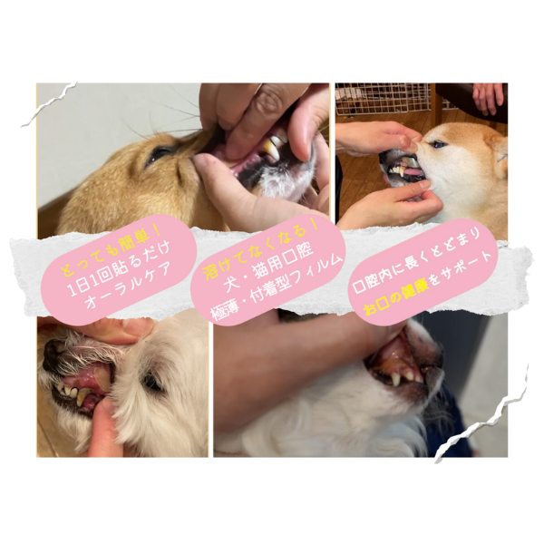 ペティオーラAD 