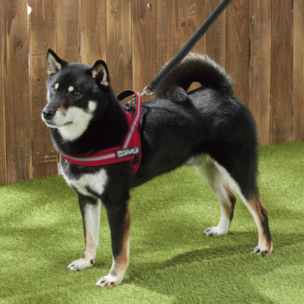アドベンチャー　シーカー　エコ レッド