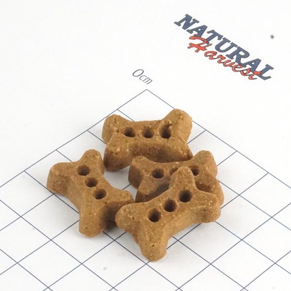ナチュラルハーベスト プロバイオビスケット（犬用おやつ） 