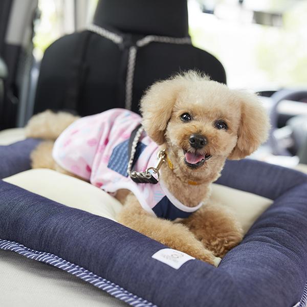 Ｓｉｐｐｏｌｅ　２ＷＡＹローベッド インディゴ／車の中でも快適♪