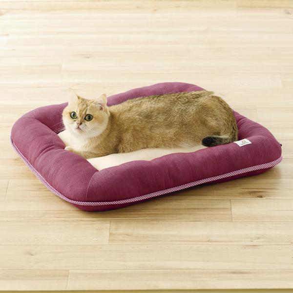 Ｓｉｐｐｏｌｅ　２ＷＡＹローベッド S・レッド／モデル体重：3.3kg