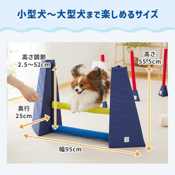 Ｓｉｐｐｏｌｅアジリティ 