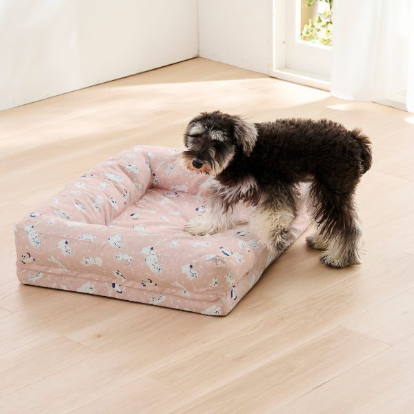 ★洗える  あごのせソファベッド Sサイズ(モデル：シュナウザー6.3㎏)