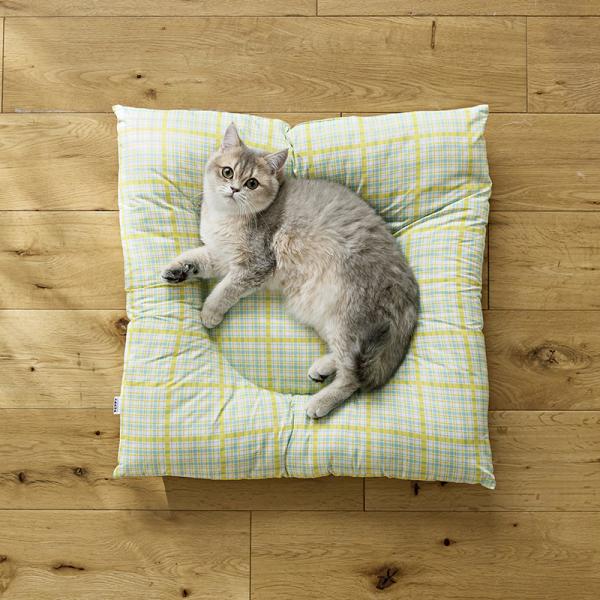 ★洗える　おひるね座布団 イエローチェック／モデル体重：2.5kg