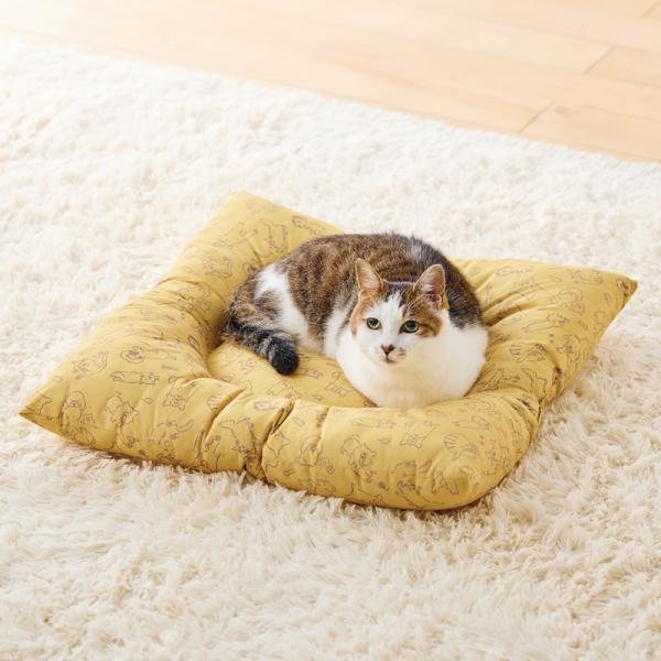 洗える　おひるね座布団 マロン／モデル体重：3.9kg