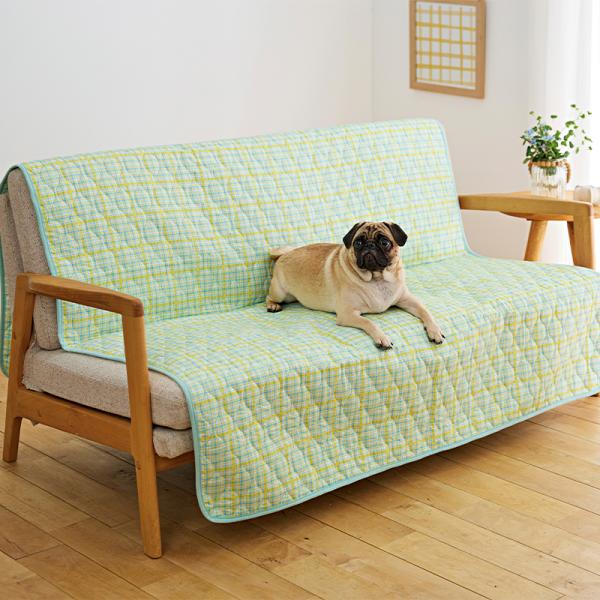 抜け毛が刺さりにくいノンキルトマルチカバー イエローチェック・140×200cm