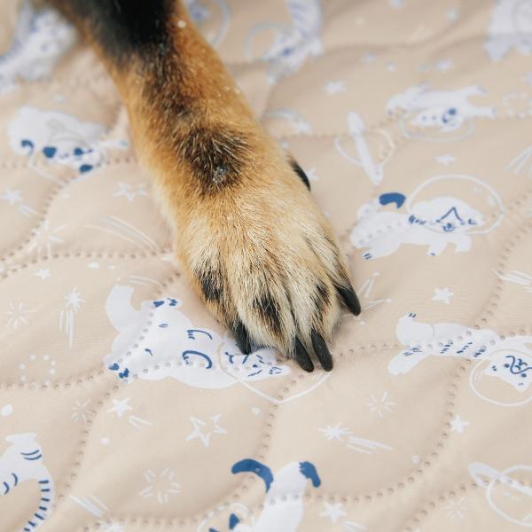 ★抜け毛が刺さりにくいノンキルトマルチカバー 熱圧着加工を施し、縫い糸は使っていないので、糸切れの心配なし。