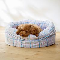 ★洗える　まあるいベッド