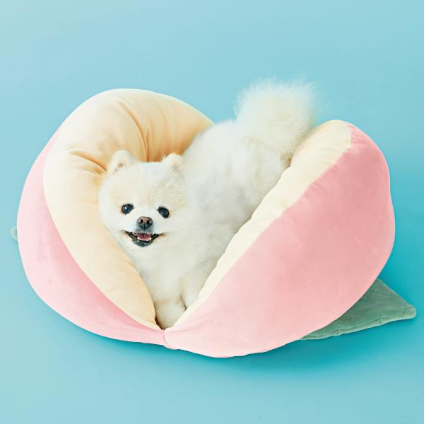 桃太郎もとろけるベッド 1度うずもれると出られなくなるフィット感