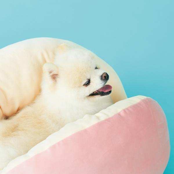 桃太郎もとろけるベッド ごきげん♪