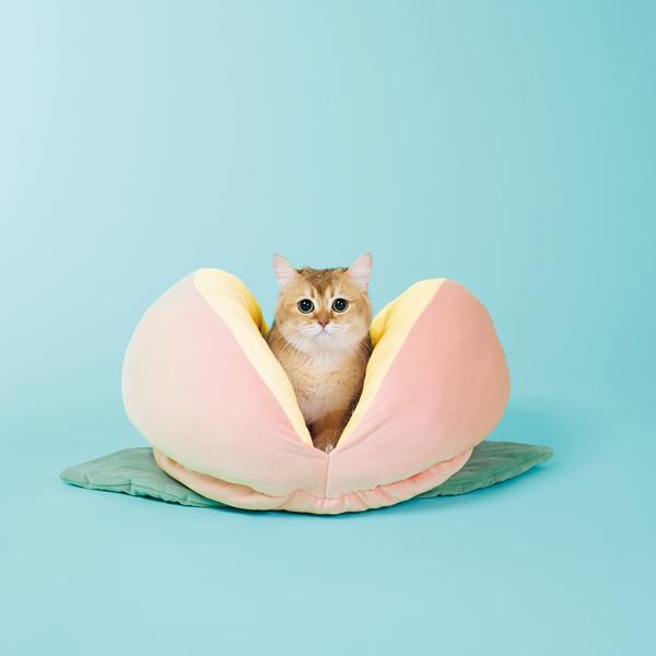 桃太郎もとろけるベッド 